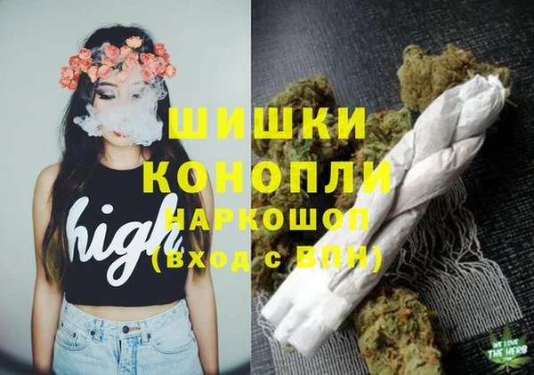 стафф Михайлов